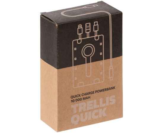 Аккумулятор c быстрой зарядкой Trellis Quick 10000 мАч, синий, Цвет: синий, изображение 9