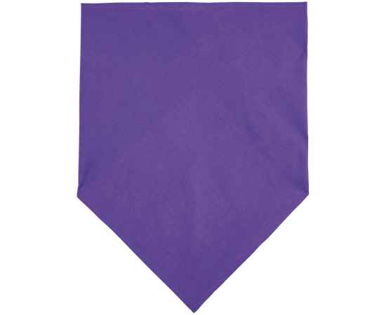 Шейный платок Bandana, темно-фиолетовый, Цвет: фиолетовый, изображение 2
