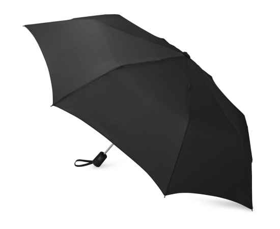 Зонт складной Irvine, 979037, Цвет: черный, изображение 2