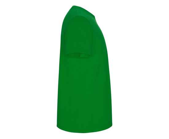 Футболка Stafford мужская, S, 668183S, Цвет: зеленый, Размер: S, изображение 4