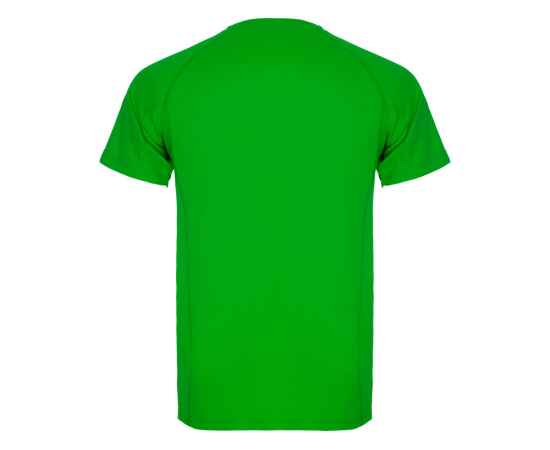 Спортивная футболка Montecarlo мужская, M, 4250226M, Цвет: зеленый, Размер: M, изображение 2