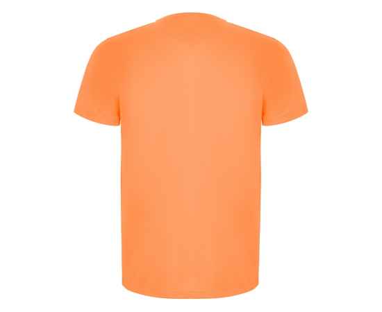 Спортивная футболка Imola мужская, S, 427CA223S, Цвет: неоновый оранжевый, Размер: S, изображение 2