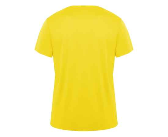 Спортивная футболка Daytona мужская, S, 420CA03S, Цвет: желтый, Размер: S, изображение 2