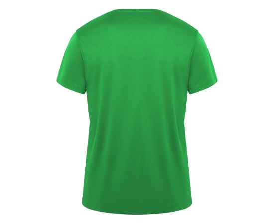 Спортивная футболка Daytona мужская, S, 420CA226S, Цвет: зеленый, Размер: S, изображение 2