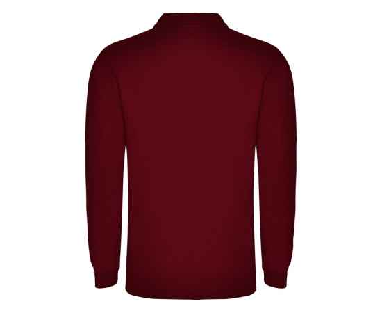 Рубашка поло Carpe мужская с длинным рукавом, S, 5009PO57S, Цвет: бордовый, Размер: S, изображение 2