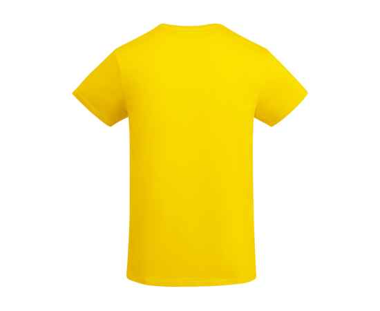 Футболка Breda мужская, S, 6698CA03S, Цвет: желтый, Размер: S, изображение 2