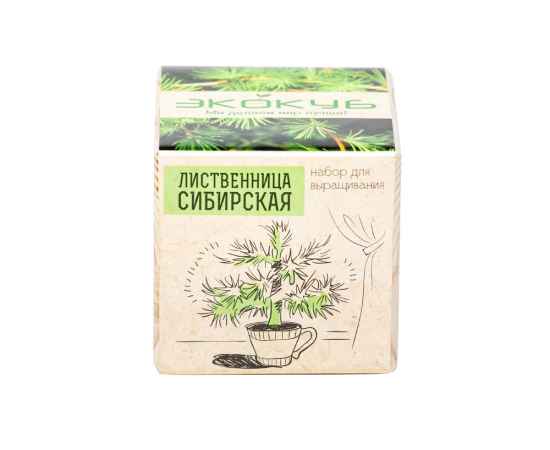Набор для выращивания Лиственница Сибирская, 822147, изображение 3