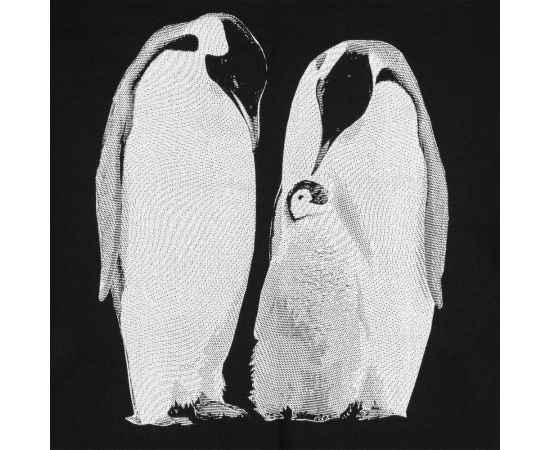 Свитшот Like a Penguin, черный, размер XS, Цвет: черный, Размер: XS, изображение 3