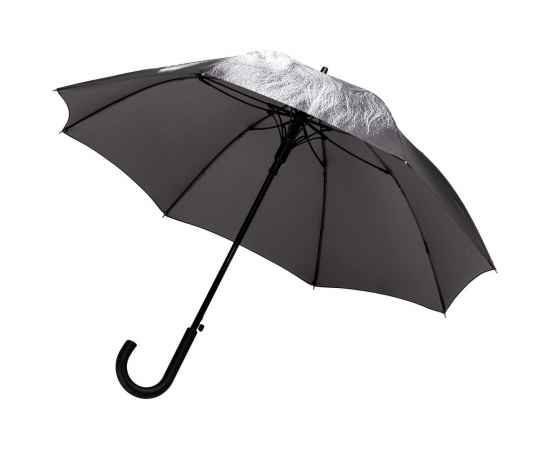 Зонт-трость Like a Lion, Размер: длина 83 см, изображение 2