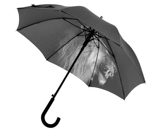 Зонт-трость Like a Lion, Размер: длина 83 см, изображение 3