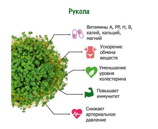 , изображение 2