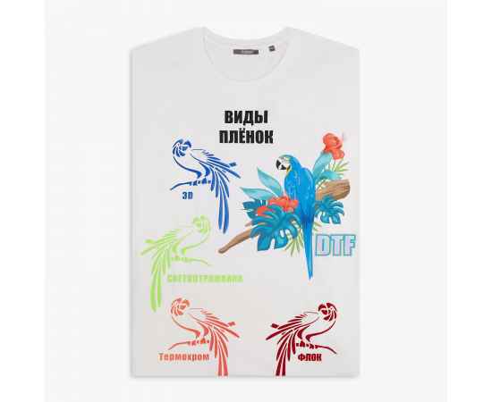, изображение 2