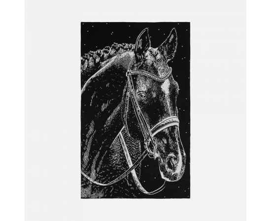 , изображение 3