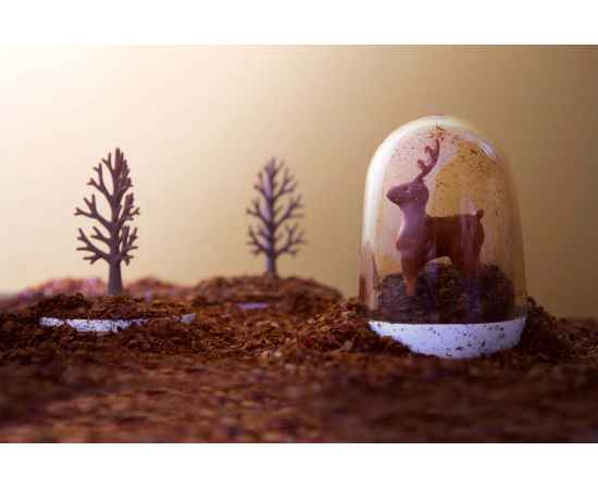 , изображение 2