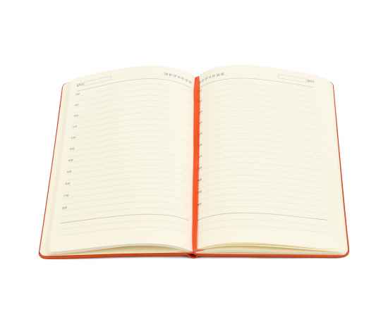 , изображение 4