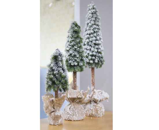 , изображение 2