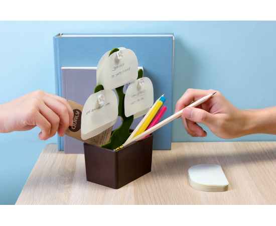 , изображение 3