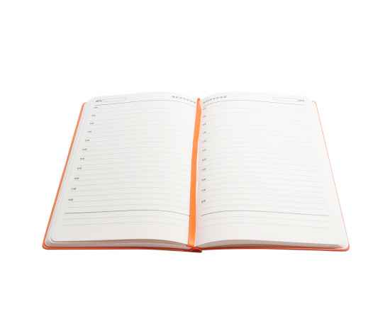 , изображение 4