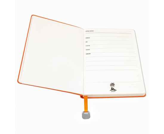 , изображение 3