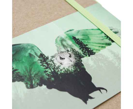 , изображение 2