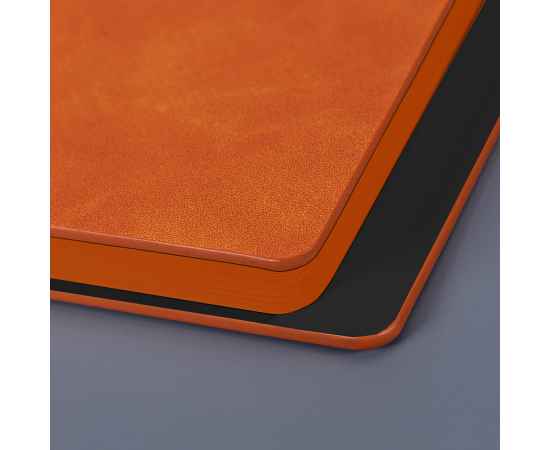 , изображение 4