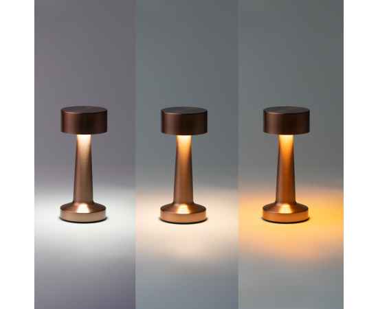 , изображение 4