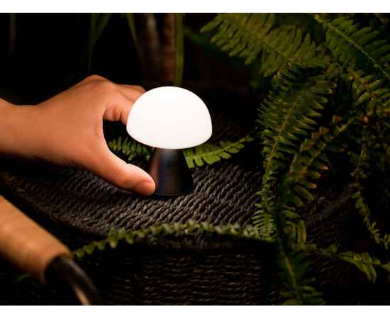 , изображение 5