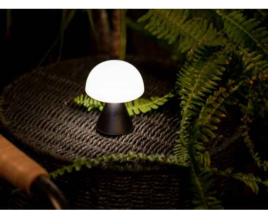 , изображение 6