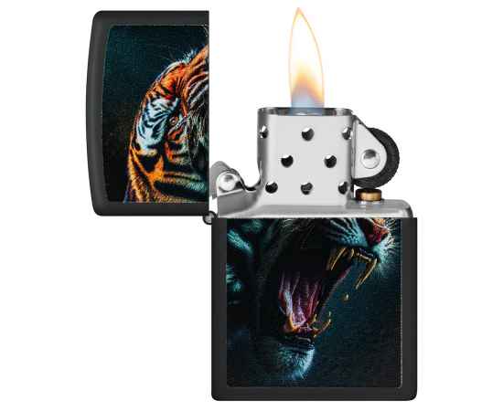 , изображение 3