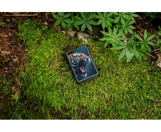 , изображение 7