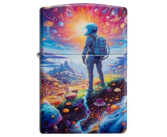 , изображение 2