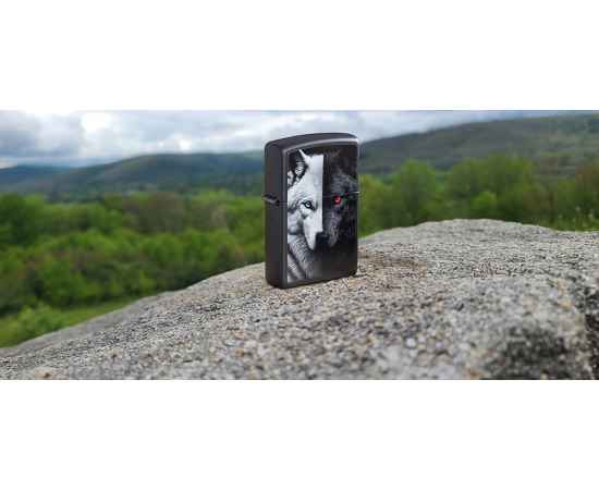 , изображение 7