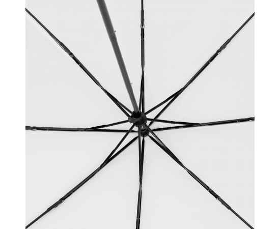 , изображение 3