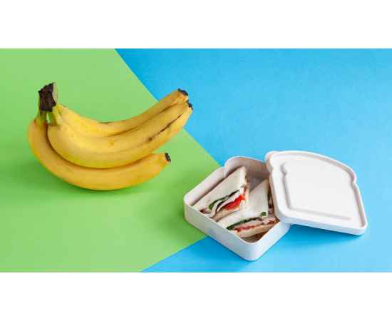 , изображение 2