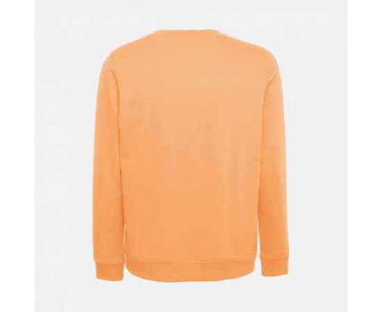 , изображение 2