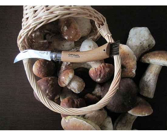 , изображение 5