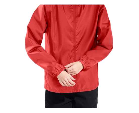 , изображение 4