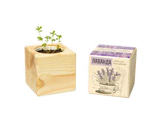 , изображение 4