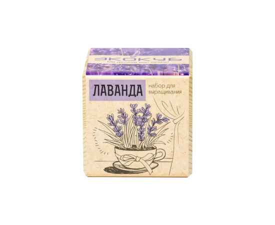 , изображение 2