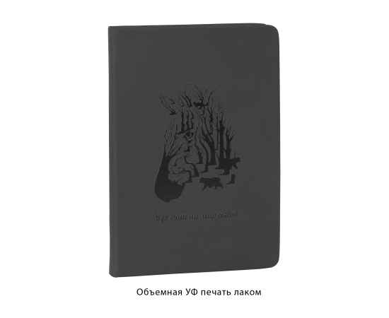 , изображение 6