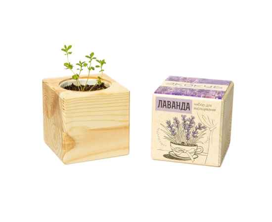 , изображение 4