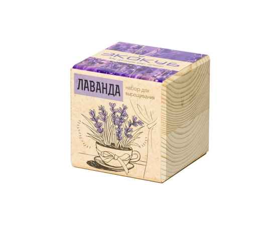 , изображение 3