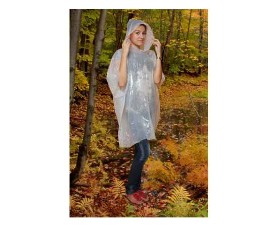 , изображение 4