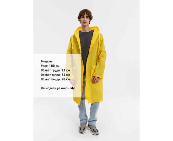 , изображение 12