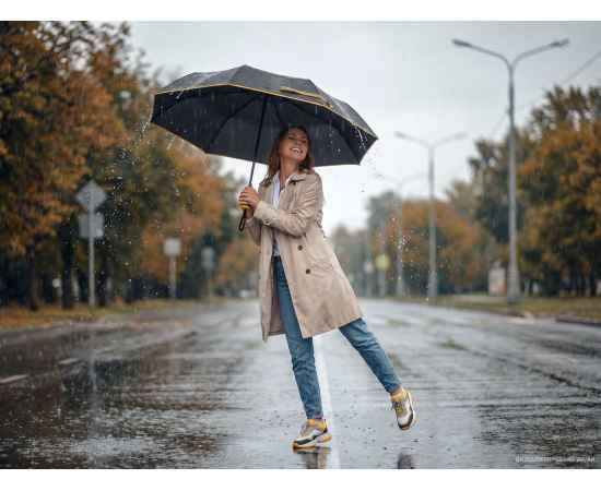 , изображение 9