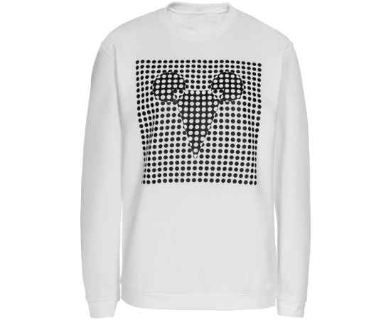 , изображение 2