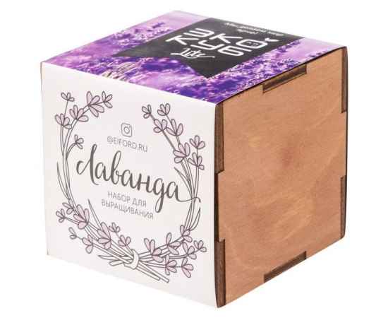 , изображение 6