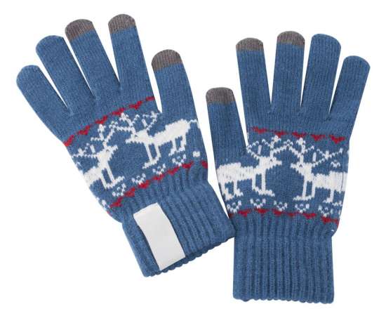 Сенсорные перчатки Raindeer, синие, Цвет: синий, Размер: 8