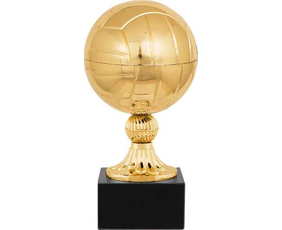 1455-190-В00 Награда Волейбол (золото)