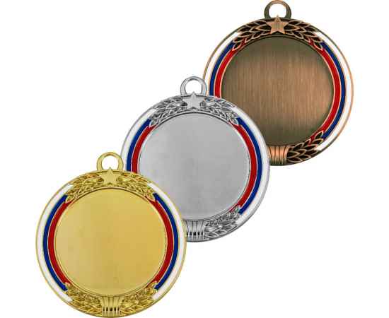 3599-070 Медаль Вильва, бронза, Цвет: Бронза